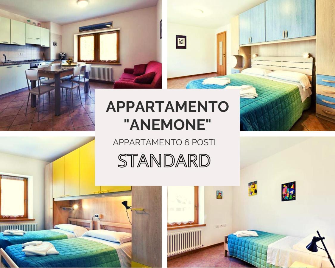 Diffuso Zoncolan * Sùtrio